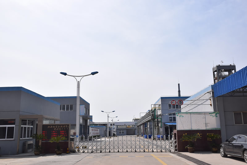 Surplus Corporation 團隊