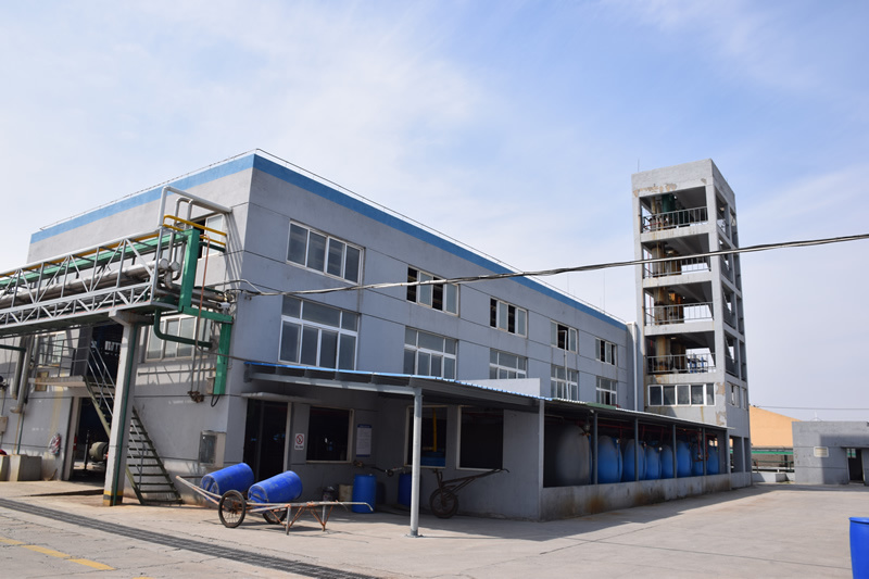 Surplus Corporation 團隊